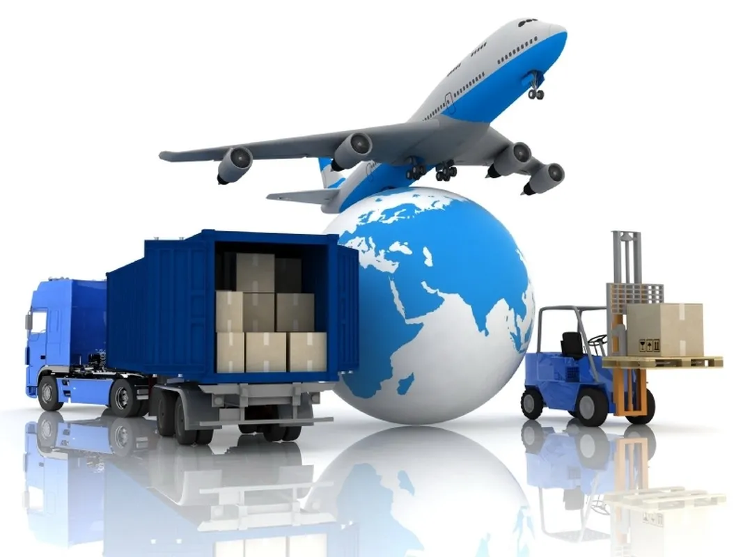 Our expertise